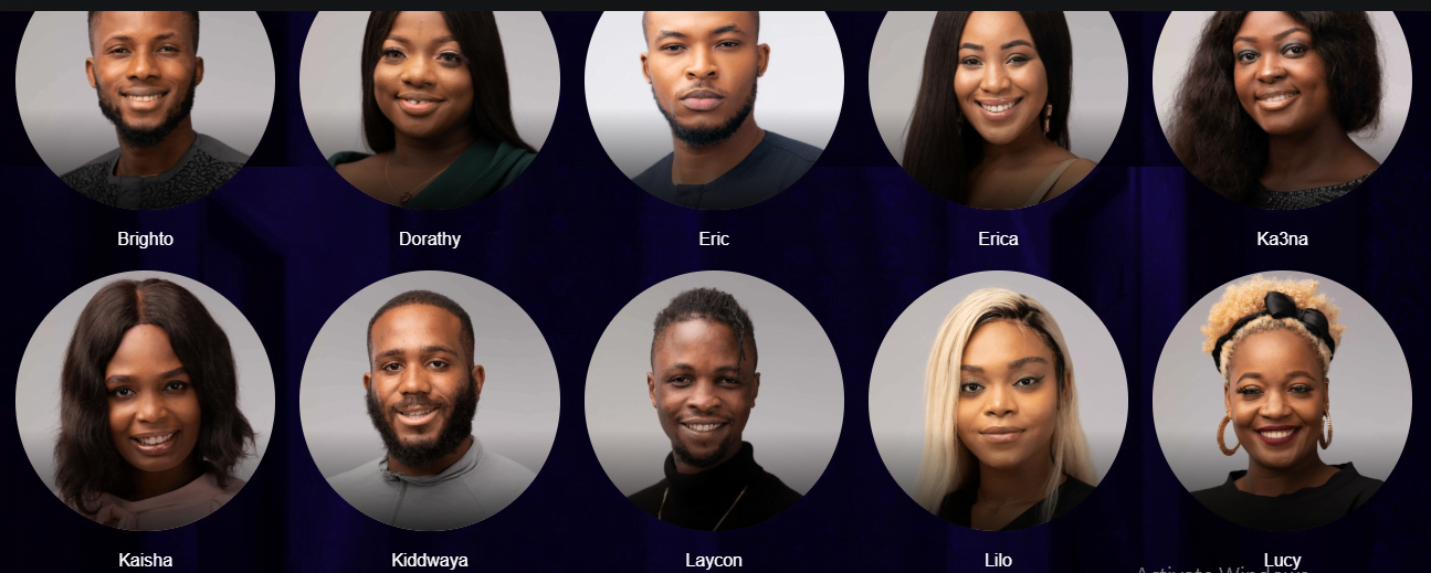 Meet the 2020 BBNaija Lockdown housemates