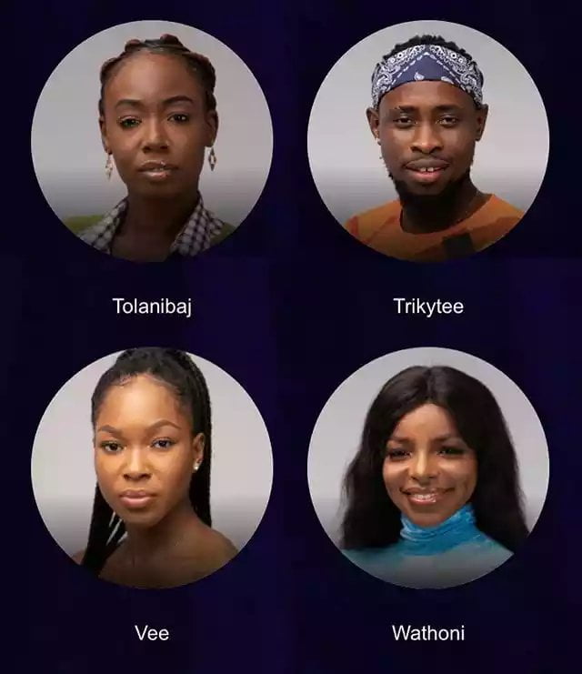 bbnaija 2020 housemates picture