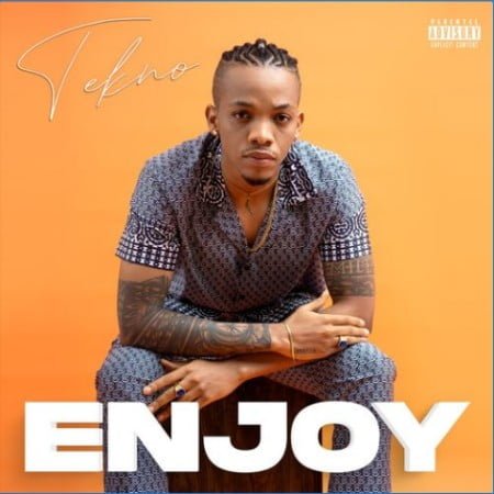 Tekno – Enjoy mp3 download free