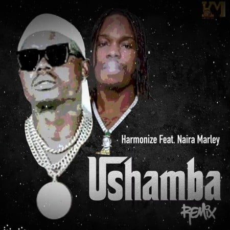 Harmonize – Ushamba (Remix) ft. Naira Marley mp3 download free