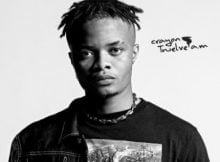 Crayon – Too Correct ft. Rema mp3 download free