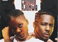 Shadow – Chioma Ajunwa ft. Zoro mp3 download free lyrics