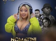 DJ Hlo – Noma Yini Ft. Professor, Ndu Shezi & Mdu mp3 download free lyrics