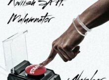 Kwiish SA - iNumber ft. Malumnator mp3 download free lyrics original mix