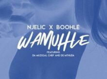 Njelic & Boohle – Wamuhle ft. Da Muziqal Chef & De Mthuda mp3 download free lyrics