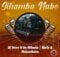 Dj Steve - Sihamba Nabo ft. De Mthuda, Njelic & MalumNator mp3 download free lyrics