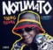 Young Stunna - Notumato Album (Beautiful Beginnings) zip mp3 download free 2021 datafilehost zippyshare