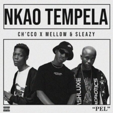 Chicco, Mellow & Sleazy – Nkao Tempela mp3 download free lyrics official original audio mix song