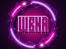 Dzo 729 & Guyu Pane – Wena ft. Sego M mp3 download free lyrics