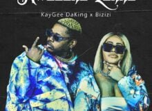 Kaygee DaKing & Bizizi - Kwasuka Lokho EP mp3 zip download 2021 album zippyshare datafilehost