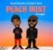 Madumane & Robot Boii – Peach Mint (Freestyle) Ft. Soa Mattrix & Dj Maphorisa mp3 download free lyrics