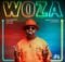 Mr JazziQ - Woza (Vida Soul AfroTech Remix) Ft. Kabza De Small, Lady Du & Boohle mp3 download free lyrics