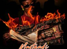 DJ Ace & Real Nox - Mastandi ft. Vesta SA & Skavanator mp3 download free lyrics