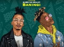 Mthunzi – Baningi ft. Mlindo The Vocalist mp3 download free lyrics