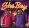 Venom & Shishiliza – Sho Boy ft. Riky Rick, Junior Taurus, Buzzi Lee, Yanga Chief, Beast RSA, Focalistic, Blxckie & 25K mp3 download free lyrics