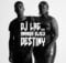 DJ Lag - Destiny ft. Amanda Black mp3 download free lyrics