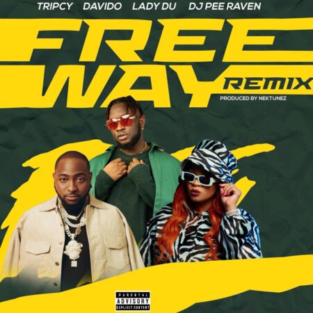 Tripsy, Lady Du, Davido & Nektunez – Freeway (Remix) ft. DJ Pee Raven mp3 download free lyrics