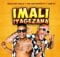 Bello No Gallo & TDK Macassette - Imali Iyagezana ft. Que mp3 download free lyrics