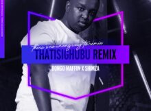 Bongo Maffin - Thath'isigubhu (Shimza Remix) mp3 download free lyrics