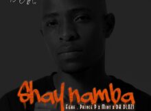 DJ Nova SA - Shay'namba ft. Prince P, Mint & DK Dlozi mp3 download free lyrics