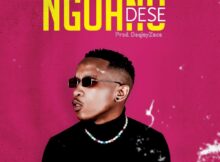 Ntate Stunna – Ngoano Dese mp3 download free lyrics