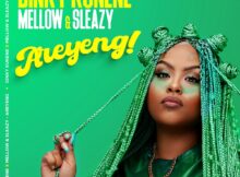 Dinky Kunene – Areyeng ft. Mellow & Sleazy mp3 download free lyrics