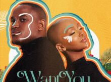 Lebza TheVillain - Want You ft. Nandi Madida mp3 download free lyrics