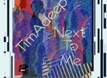 TimAdeep & Artwork Sounds – Next To Me mp3 download free