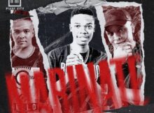 BL Zero, Kamo the Vocalist & Major League DJz - Marinate ft. Dj Karri mp3 download free lyrics