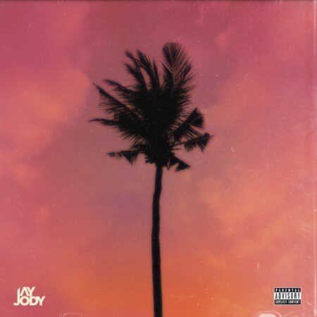 Jay Jody, A-Reece & Marcus Harvey – Purple Palm Trees mp3 download free lyrics