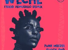 Punk Mbedzi, Euggy & Akoth Jumadi - Weche (Frigid Armadillo Remix) mp3 download free lyrics