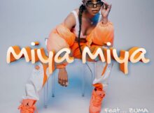 TDK Macassette – Miya Miya ft. Zuma, Reece Madlisa & LuuDadeejay mp3 download free lyrics