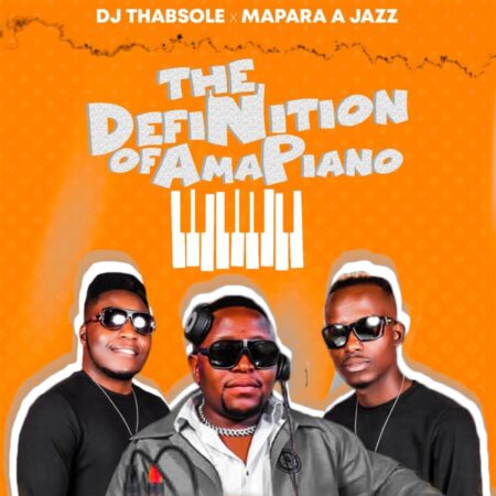 DJ ThabSole & Mapara A Jazz - Someone Like You ft. Leon Lee, Jon Delinger, 015MusiQ & Van City MusiQ mp3 download free lyrics