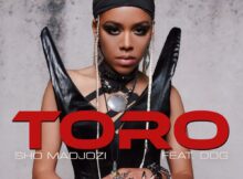 Sho Madjozi – Toro ft. DDG mp3 download free lyrics