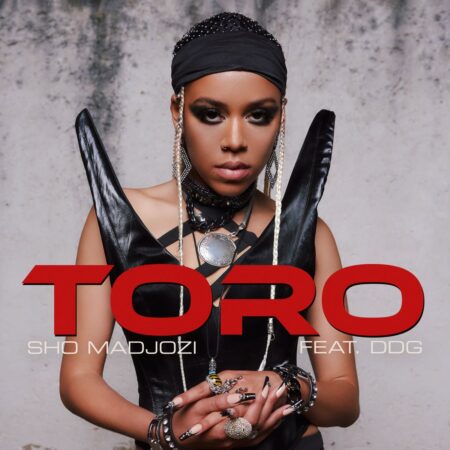 Sho Madjozi – Toro ft. DDG mp3 download free lyrics