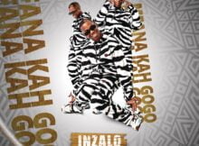 Mfana Kah Gogo – 1104 ft. Loki & Priddy DJ mp3 download free lyrics