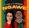 Lisa Li & Ishmael - Ngawe (Remix by Bigwae) mp3 download free lyrics