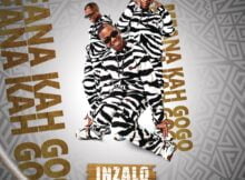 Mfana Kah Gogo - Amaninja Ft. Njabz General mp3 download free lyrics