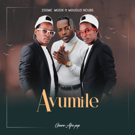 2Some Musik – Avumile ft. Mduduzi Ncube mp3 download free lyrics