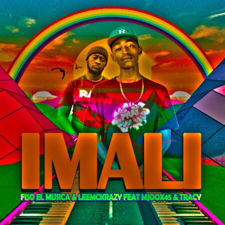 Fiso El Musica & LeeMcKrazy – Imali ft. Mjoox45 & Tracy mp3 download free lyrics