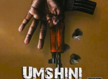 Frenzy Bouy – Umshini ft. Musa Keys, Mellow & Sleazy mp3 download free lyrics