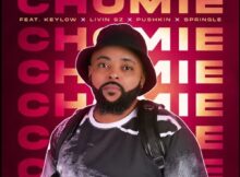 Mthi HD – Chomie Ft. Keylow, Livin SZ, Pushkin & Springle mp3 download free lyrics