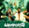 Pushkin & Springle - Wankolota ft. Bassie & T&T Muziq mp3 download free lyrics