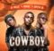 DJ Melzi – Cowboy VIII (Rekere) ft. Moukz & Spitjo88 mp3 download free lyrics