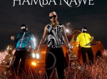 Masterpiece YVK – Hamba Nawe ft. Nkulee501 & Skroef28 mp3 download free lyrics