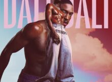 Daliwonga - VurVai mp3 download free lyrics