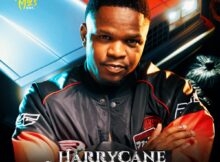 HarryCane – Whistle Song mp3 download free lyrics