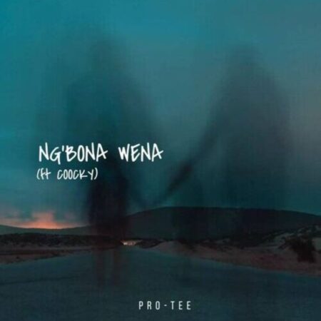 Pro-Tee – Ngbona Wena ft. Coocky mp3 download free lyrics