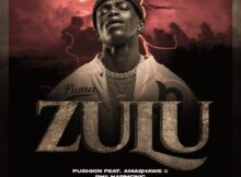 Pushkin RSA – ZULU ft. AmaQhawe & Philharmonic mp3 download free lyrics