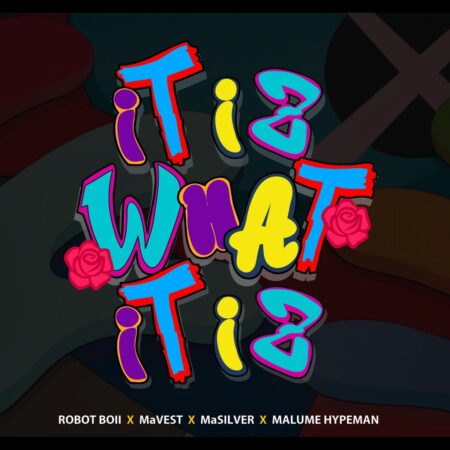 Robot Boii – ‎It Iz What It Iz ft. Mavest, MaSilver & malume.hypeman mp3 download free lyrics